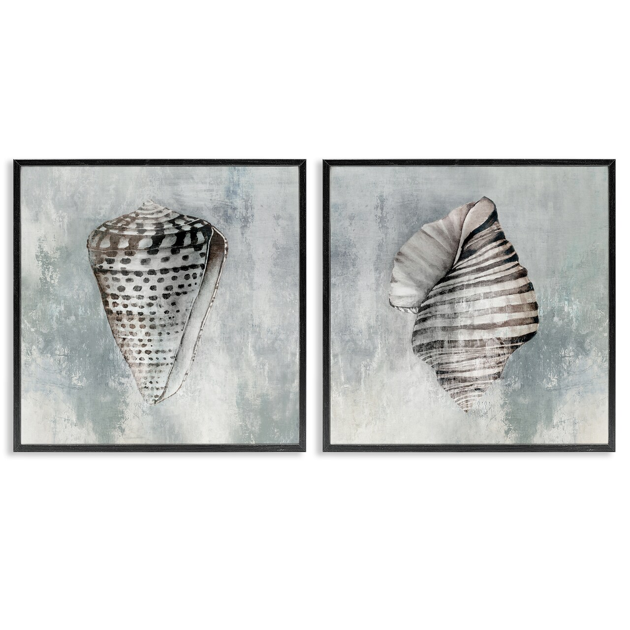 Stupell Industries Grey Distressed Cowrie Shells 2pc Framed Giclee Wall Art Set Design by Eli Jones